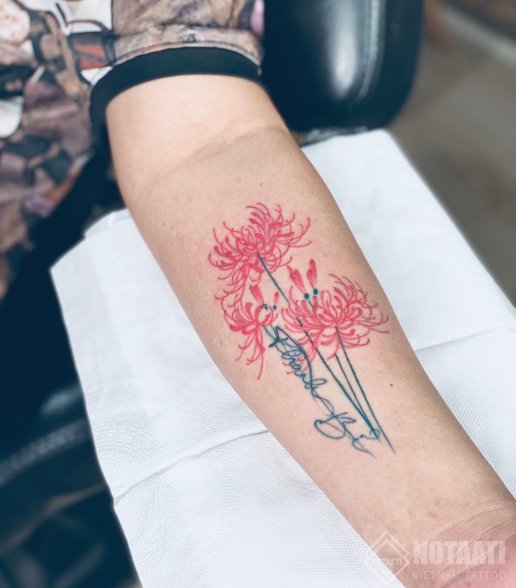 Bỉ ngạn hình xăm hoa bỉ ngạn hình xăm hoa bỉ ngạn đẹp tattoo bỉ ngạn   Thiết kế hình xăm Xăm Mini tattoos