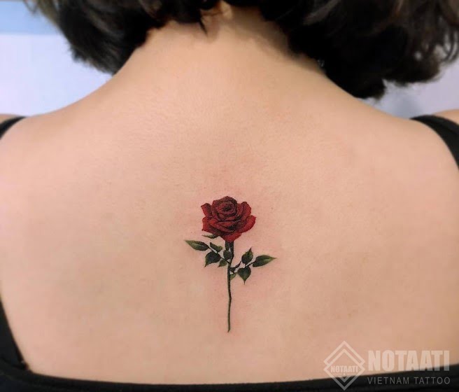 hình xăm hoa hồng ở lưng
