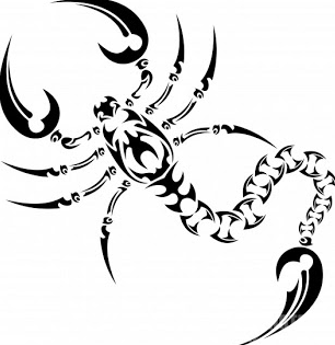 Hình xăm Bọ Cạp hay hình xăm cung Thiên Yết thể hiện cá tính mạnh mẽ Với  hơn 50 hình xăm đẹp ý nghĩa sẽ giú  Scorpion tattoo Scorpio tattoo  Tattoo
