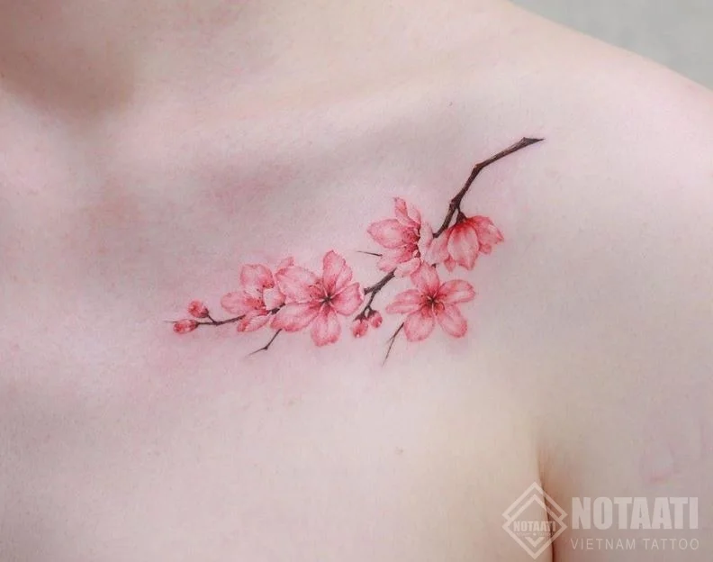 Tổng hợp các mẫu hình cherry blossom tattoo đẹp và ấn tượng nhất dành cho  bạn